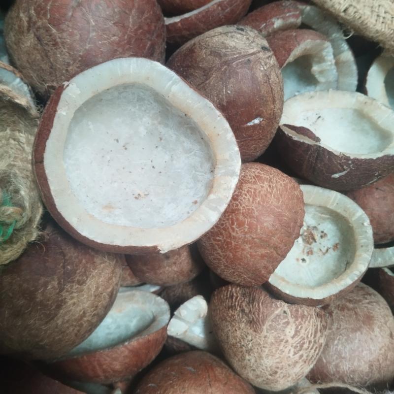 Copra Rate Thalavadi - தாளவாடி தேங்காய்பருப்பு ஏலம்