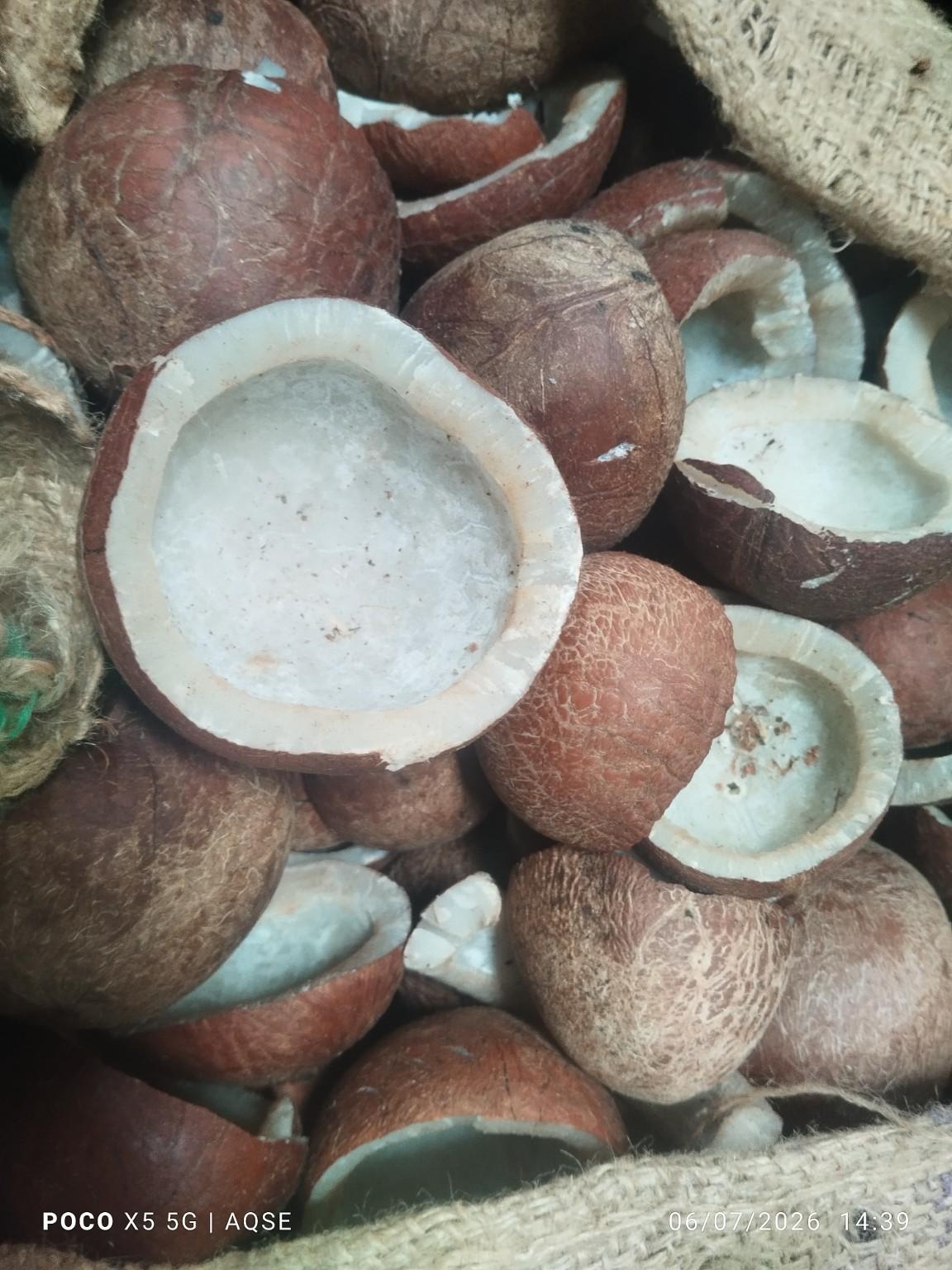 Copra Rate Thalavadi - தாளவாடி தேங்காய்பருப்பு ஏலம்